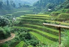 Vietnam Motorbike Tour Authentic Northwest 2 Days 1 Night