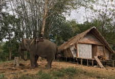 Vietnam On Two Wheels: 14 Days Of Scenic Riding From Hanoi To Saigon