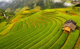 Day 1: Lao Cai – Bac Ha – Xi Man (160 Km/5 Hours) (L/D)