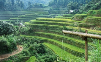 Day 3: Mai Chau - Pu Luong Nature Reserve  (B/L/D)