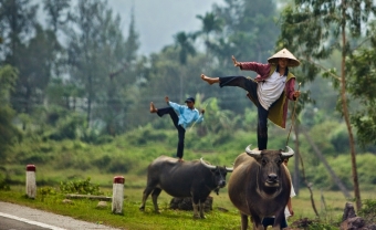 Day 1: Hanoi – Hong Son Lake – Dream Waterfall (180 Km/ Approx. 6 Hours) (L/D)