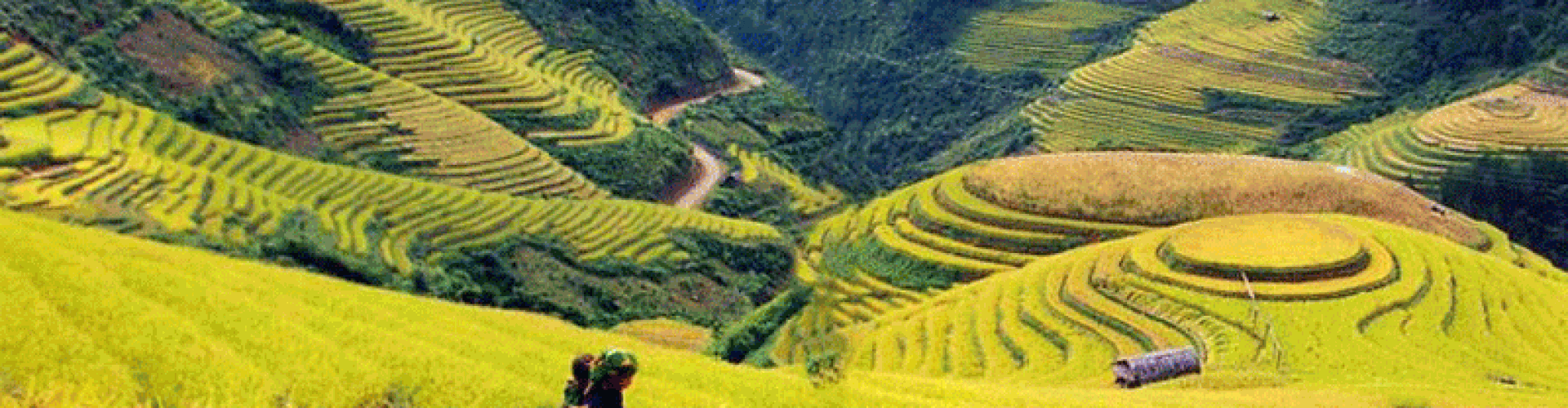 Our Blog