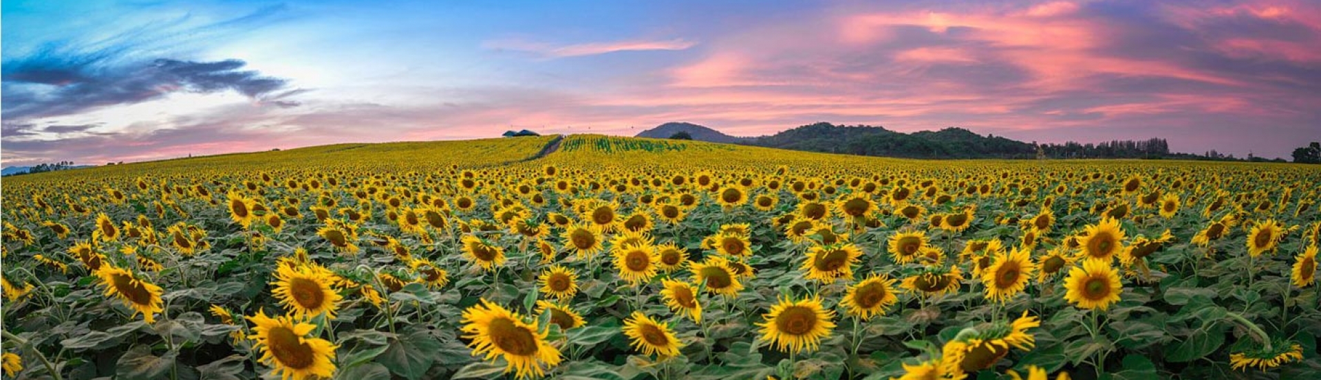 Destinations in Nghe An