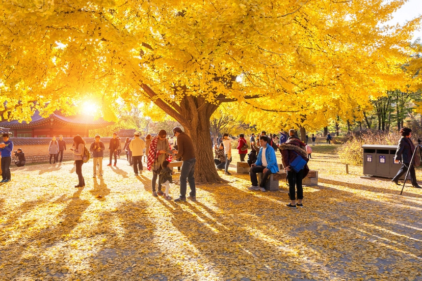 Budgeting For Traveling In Vietnam For 3 Weeks Budgeting For Traveling In Vietnam For 3 Weeks